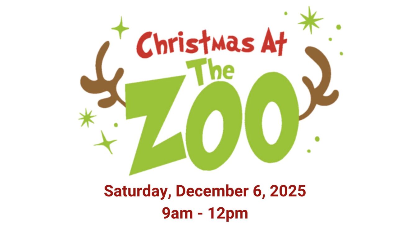 Christmas at the Zoo!